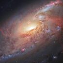 Ο Καθηγητής Αστροφυσικής του Κέμπριτζ Γ. Ευσταθίου στην «Κ»: To σύμπαν μας δεν είναι το μόνο