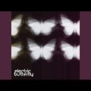 Butterfly · Sally Doherty · Sally Doherty