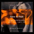 Steve Jansen / Richard Barbieri - Stone To Flesh