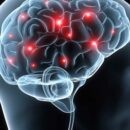 Έρευνα: Ανακαλύφθηκαν οι «νευρώνες του τραγουδιού» στον ανθρώπινο εγκέφαλο