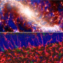 Πόσο μοιάζει ο ανθρώπινος εγκέφαλος με το σύμπαν - Ο καθηγητής Γραβάνης συγκρίνει τις δύο εικόνες...