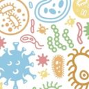 Τα μικρόβια του εντέρου και οι άνθρωποι έχουν κοινό εξελικτικό παρελθόν