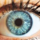 Όσοι έχουν μπλε μάτια στον πλανήτη, προέρχονται από τον ίδιο πρόγονο