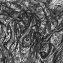 Perception Exists Only in Anamnesis Perception Exists Only in Anamnesis