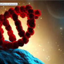 Ένα δομικό συστατικό του RNA βρέθηκε σε αστεροειδή Ένα δομικό συστατικό του RNA βρέθηκε σε αστεροειδή