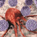 Καρκινικά κύτταρα: Πώς σχηματίζονται και σε τι διαφέρουν από τα φυσιολογικά;