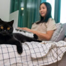 10 λόγοι για να σκεφτείτε σοβαρά να υιοθετήσετε μια μαύρη γάτα