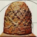 Ο Ομφαλός των Δελφών Ομφαλός του Κόσμου