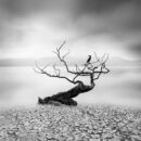 George Digalakis