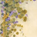 Morning Glory by  Sookja Rho