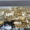 Τα Υαλοθετήματα των Κεγχρεών: Ένα Κρυφό Κομψοτέχνημα της Αρχαίας Κορίνθου Τα Υαλοθετήματα των Κεγχρεών: Ένα Κρυφό Κομψοτέχνημα της Αρχαίας Κορίνθου