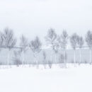 ΟΙ ΚΑΛΥΤΕΡΕΣ ΦΩΤΟΓΡΑΦΙΕΣ ΤΟΠΙΟΥ ΓΙΑ ΤΟ 2025