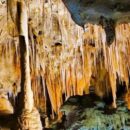 Φως για ενέργεια!! Νέο Μεξικό: Οι ανακαλύψεις σε σπήλαιο όπου δεν φτάνει ορατό φως... οι τοίχοι καλύπτονταν από έντονα πράσινες αποικίες μικροβίων!