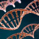 Το DNA στον αέρα - Πώς οι επιστήμονες χαρτογραφούν τη ζωή γύρω μας Το DNA στον αέρα - Πώς οι επιστήμονες χαρτογραφούν τη ζωή γύρω μας