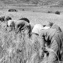Οδυσσέας Ελύτης, «Η Γέννηση της Μέρας»