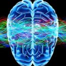 Evidence for Higher State of Consciousness Found in New Research