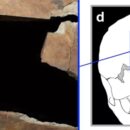 Άνθρωπος με τετράγωνη τρύπα στο κρανίο του - Ένδειξη για χειρουργική εγκεφάλου πριν 3.500 χρόνια στο Ισραήλ