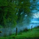In The Summertime - John Key & Healer