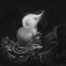 Kate Bush - Little Shrew (Snowflake)
