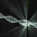 Θεωρία: Το DNA συνδέεται σε Συμπαντικό Επίπεδο