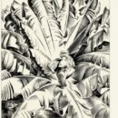 Ναταλία Καραγιάννη «Το τραγούδι του παρελθόντος»